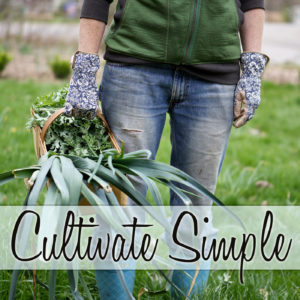 Cultivate Simple podcast logo