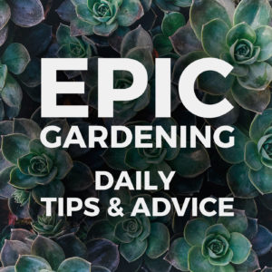 Epic Gardening podcast logo