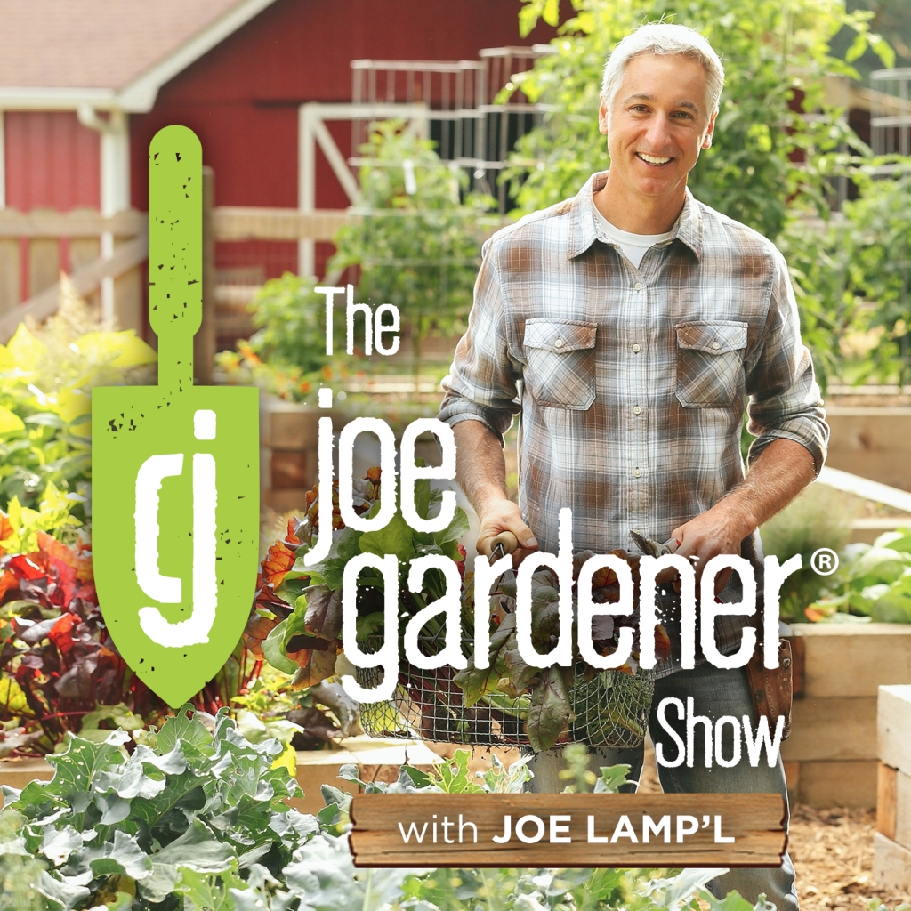 Top 25 Gardening Podcasts Garden Savvy