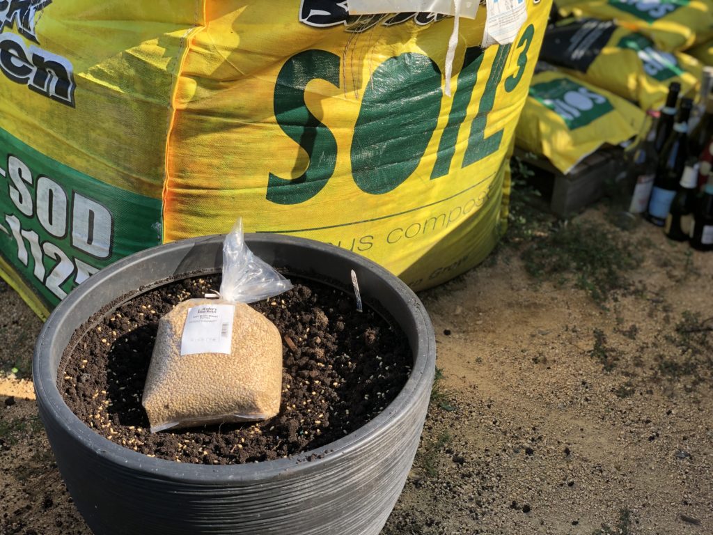 bag of soil and pot