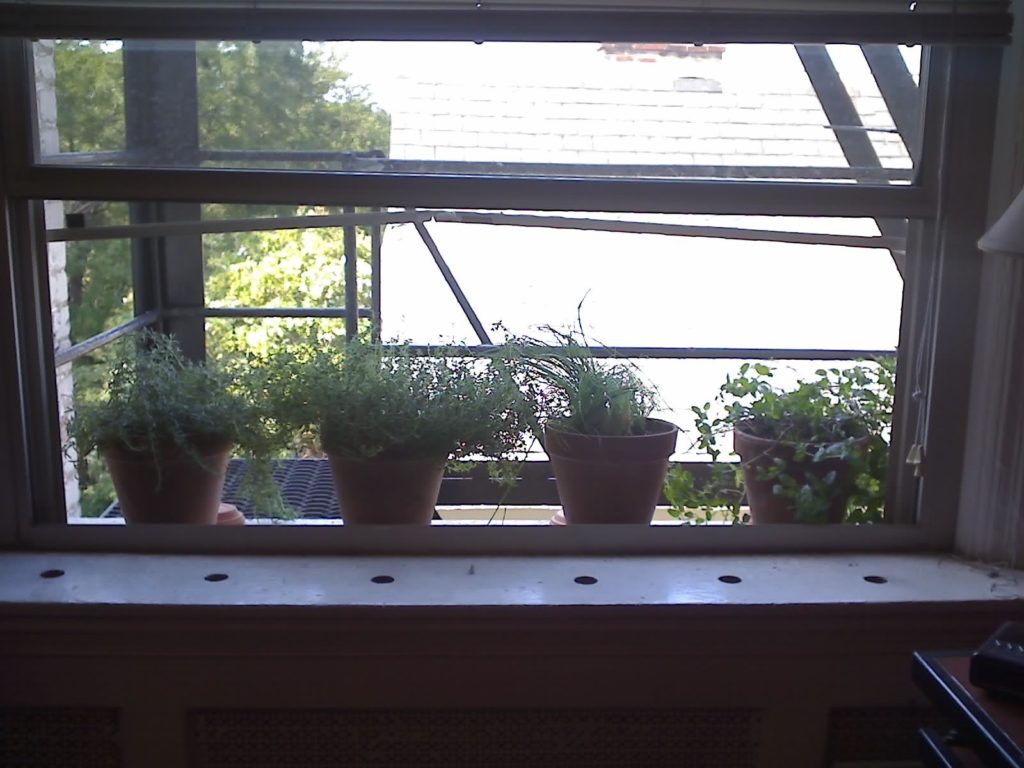 Windowsill garden
