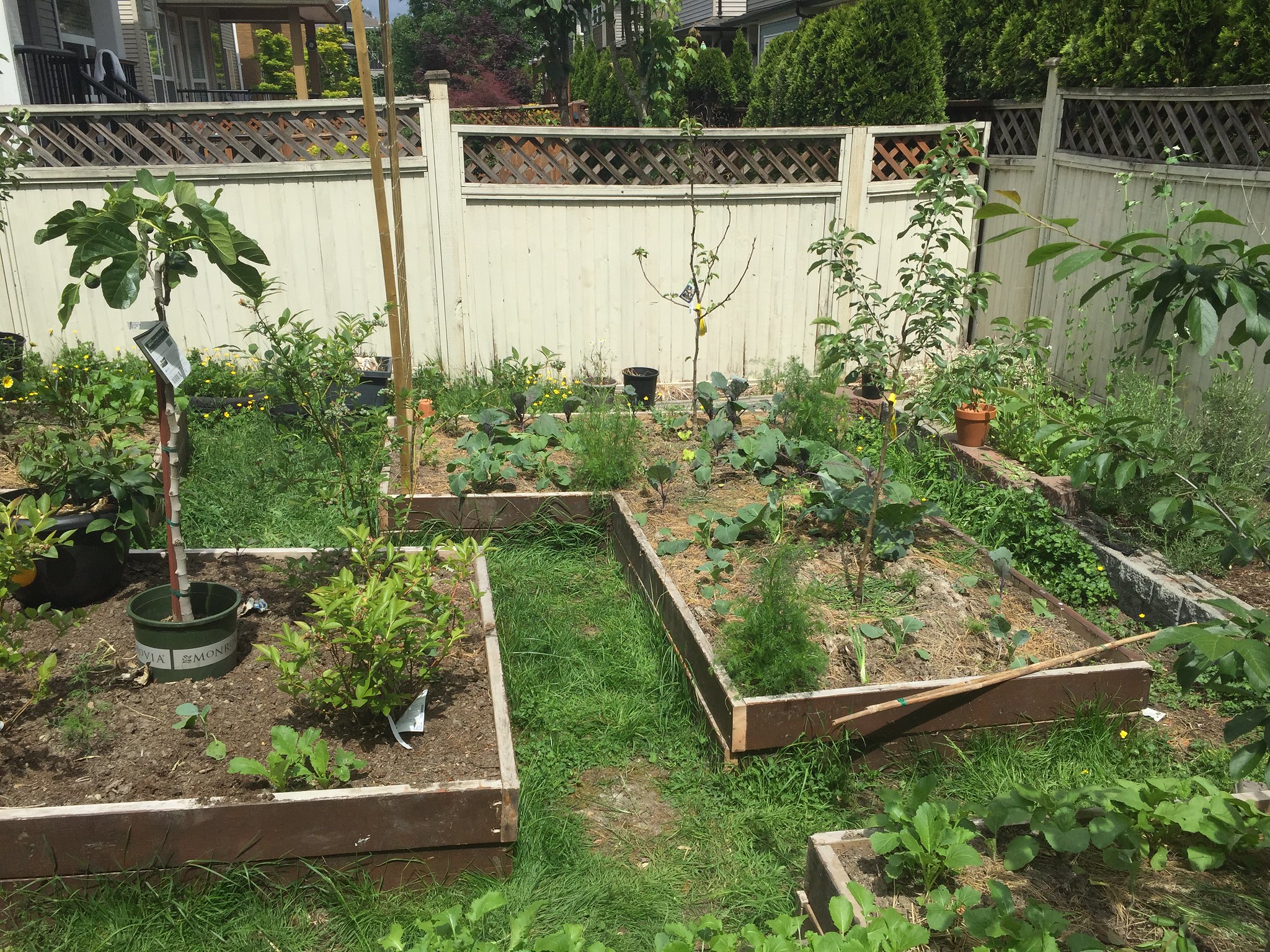 A Complete Guide to Gardening with Raised Beds: Types, Materials, and ...