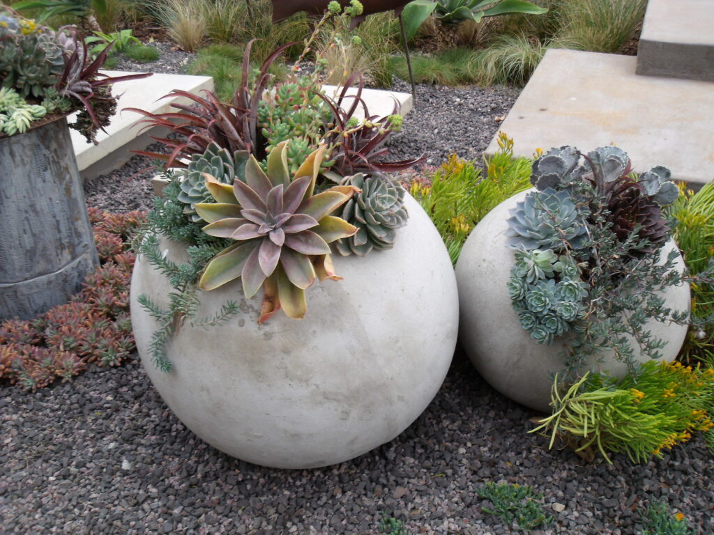 Succulent garden ball