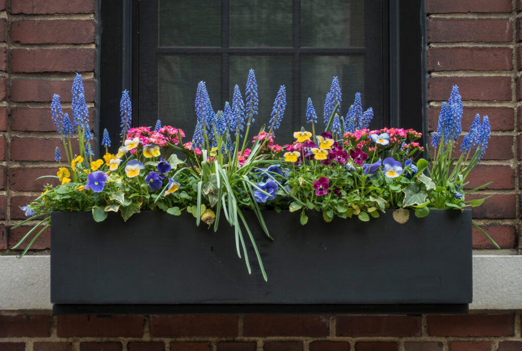 Flower Filled Window Box in New York City