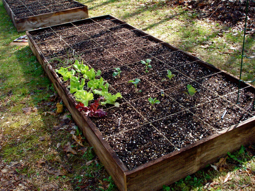 square foot garden