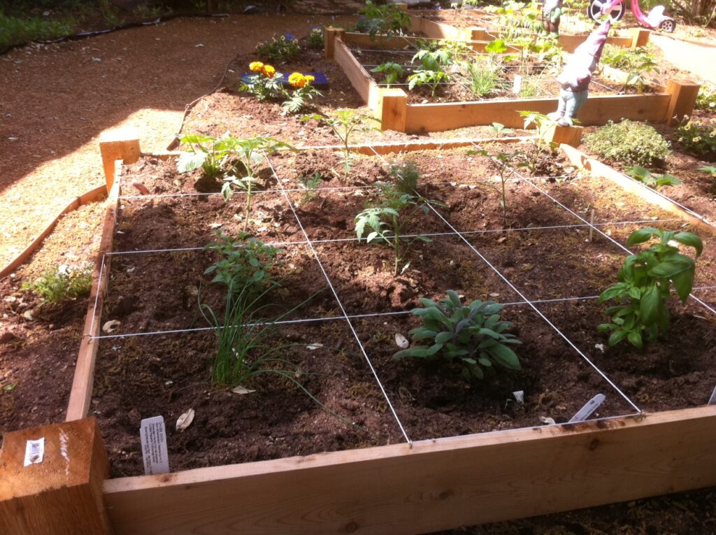 Square foot garden