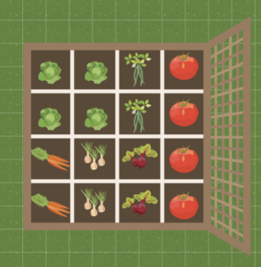 Square foot gardening in Hortisketch